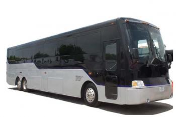 Party Bus Party Bus